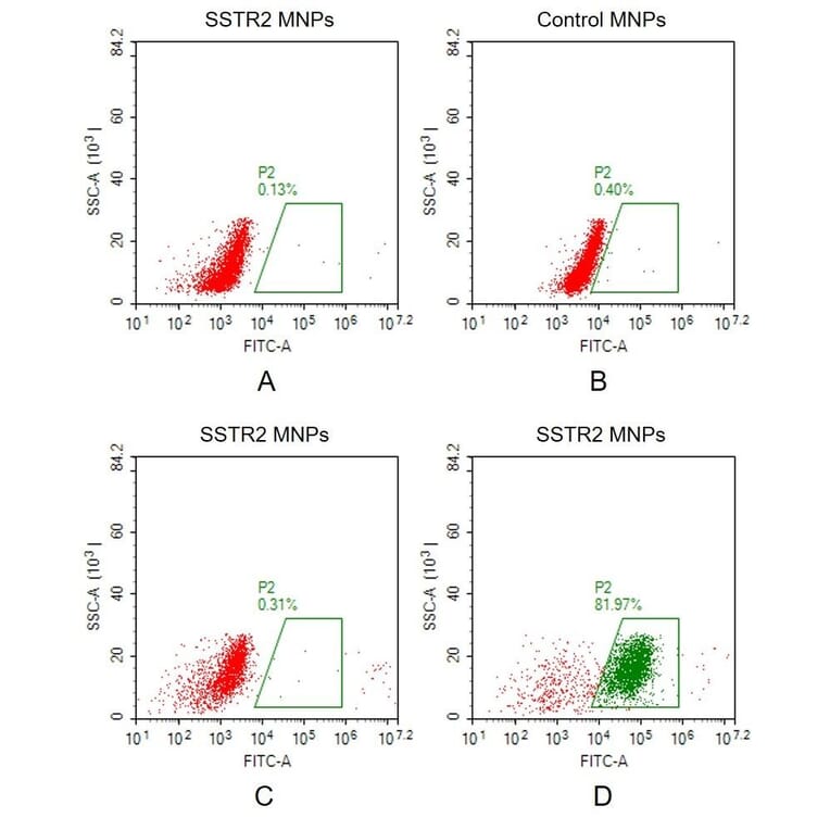 Synthetic Membrane Nanoparticle Human Somatostatin Receptor 2 Protein (A318485) - Antibodies.com