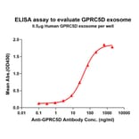 ELISA - Synthetic Exosome Human GPCR GPRC5D Protein (A318487) - Antibodies.com