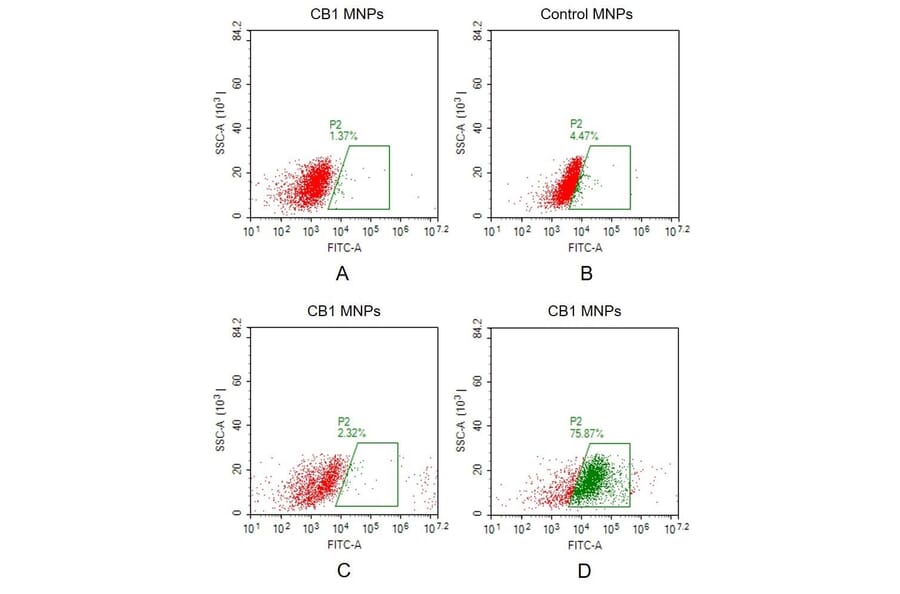 FACS - Synthetic Membrane Nanoparticle Human Cannabinoid Receptor I Protein (A318488) - Antibodies.com