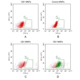 FACS - Synthetic Membrane Nanoparticle Human Cannabinoid Receptor I Protein (A318488) - Antibodies.com