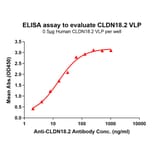 ELISA - Synthetic Virus-like Particle Human Claudin18.2 Protein (A318490) - Antibodies.com