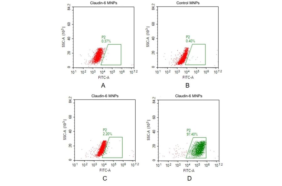 FACS - Synthetic Membrane Nanoparticle Human Claudin 6 Protein (A318491) - Antibodies.com