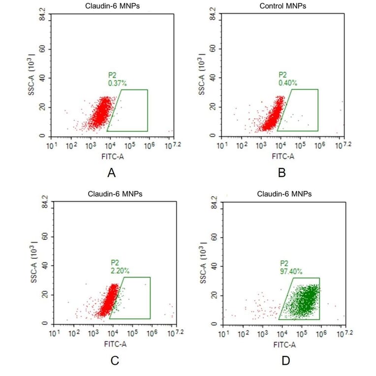 FACS - Synthetic Membrane Nanoparticle Human Claudin 6 Protein (A318491) - Antibodies.com
