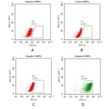 FACS - Synthetic Membrane Nanoparticle Human Claudin 6 Protein (A318491) - Antibodies.com