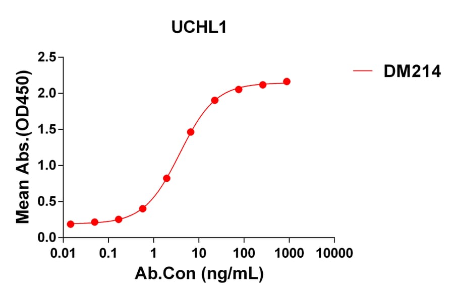 ELISA - Anti-PGP9.5 Antibody [DM214] - Azide free (A318496) - Antibodies.com