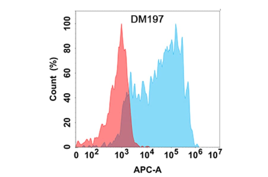 Flow Cytometry - Anti-CCR8 Antibody [DM197] - Azide free (A318512) - Antibodies.com