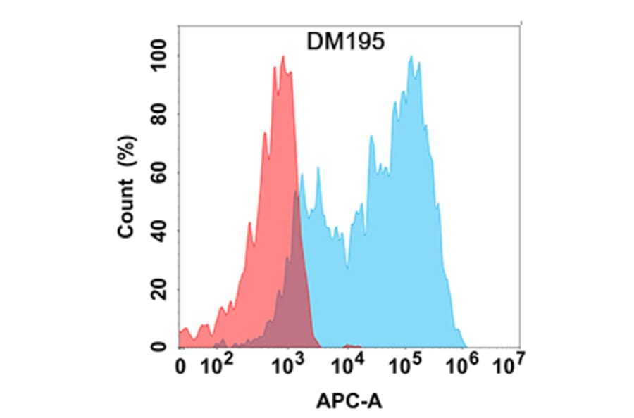 Flow Cytometry - Anti-CCR8 Antibody [DM195] - Azide free (A318514) - Antibodies.com