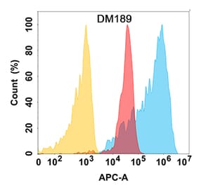 Flow Cytometry - Anti-Bcl-XL Antibody [DM189] - Azide free (A318520) - Antibodies.com