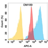 Flow Cytometry - Anti-Bcl-XL Antibody [DM189] - Azide free (A318520) - Antibodies.com