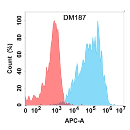 Flow Cytometry - Anti-IL-2 Antibody [DM187] - Azide free (A318522) - Antibodies.com