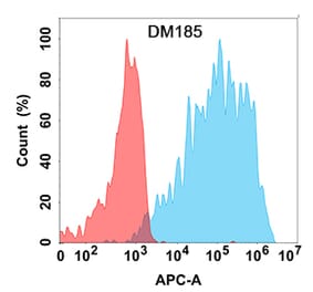 Flow Cytometry - Anti-VEGF Receptor 2 Antibody [DM185] - Azide free (A318524) - Antibodies.com
