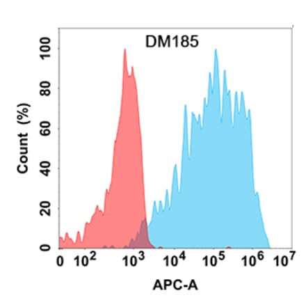 Flow Cytometry - Anti-VEGF Receptor 2 Antibody [DM185] - Azide free (A318524) - Antibodies.com