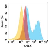Flow Cytometry - Anti-CD10 Antibody [DM176] - BSA and Azide free (A318533) - Antibodies.com