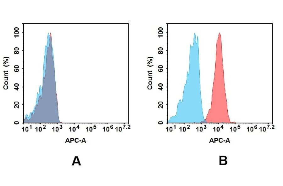 Flow Cytometry - Anti-CD10 Antibody [DM176] - BSA and Azide free (A318533) - Antibodies.com
