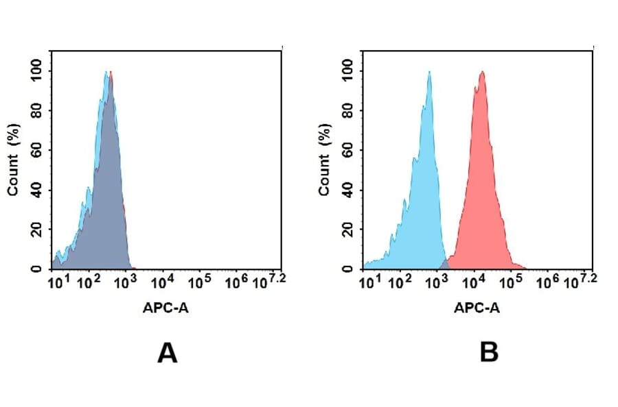 Flow Cytometry - Anti-CD10 Antibody [DM176] - BSA and Azide free (A318533) - Antibodies.com