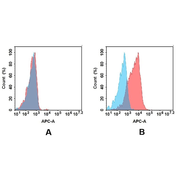 Flow Cytometry - Anti-ROR2 Antibody [DM174] - BSA and Azide free (A318535) - Antibodies.com