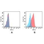 Flow Cytometry - Anti-ROR2 Antibody [DM174] - BSA and Azide free (A318535) - Antibodies.com