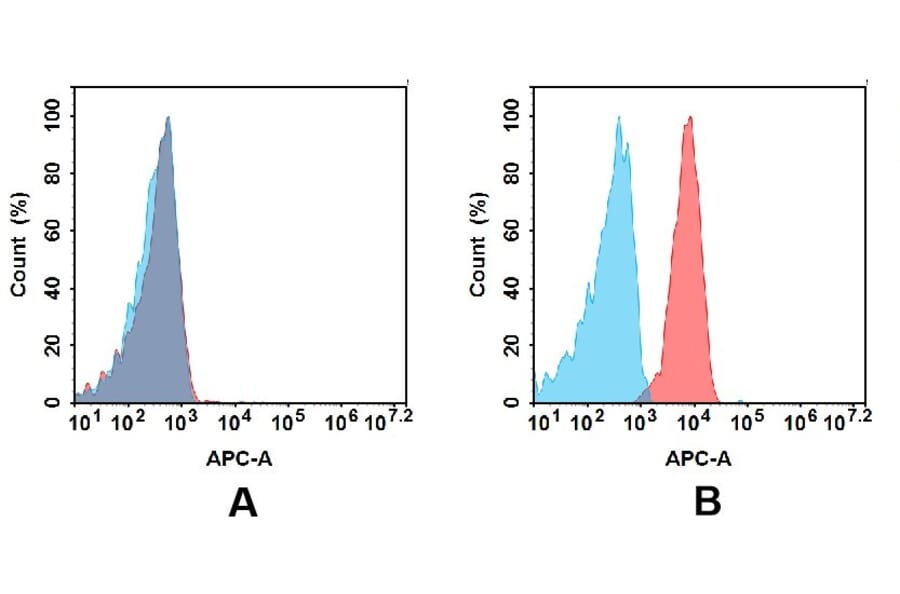 Flow Cytometry - Anti-B7-H6 Antibody [DM173] - BSA and Azide free (A318536) - Antibodies.com