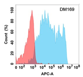 Flow Cytometry - Anti-PD-L2 Antibody [DM169] - Azide free (A318540) - Antibodies.com