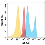 Flow Cytometry - Anti-Eph Receptor A2 Antibody [DM167] - BSA and Azide free (A318542) - Antibodies.com