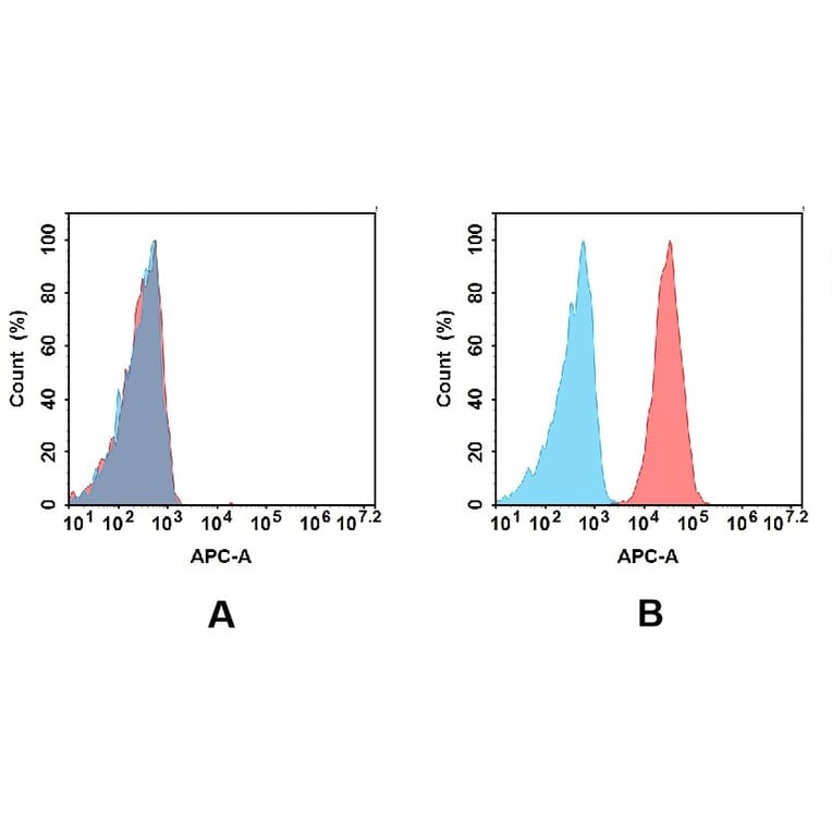 Flow Cytometry - Anti-Eph Receptor A2 Antibody [DM167] - BSA and Azide free (A318542) - Antibodies.com