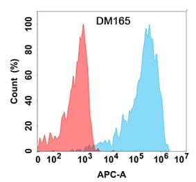 Flow Cytometry - Anti-CLEC12A Antibody [DM165] - Azide free (A318544) - Antibodies.com