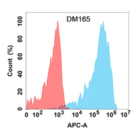Flow Cytometry - Anti-CLEC12A Antibody [DM165] - Azide free (A318544) - Antibodies.com