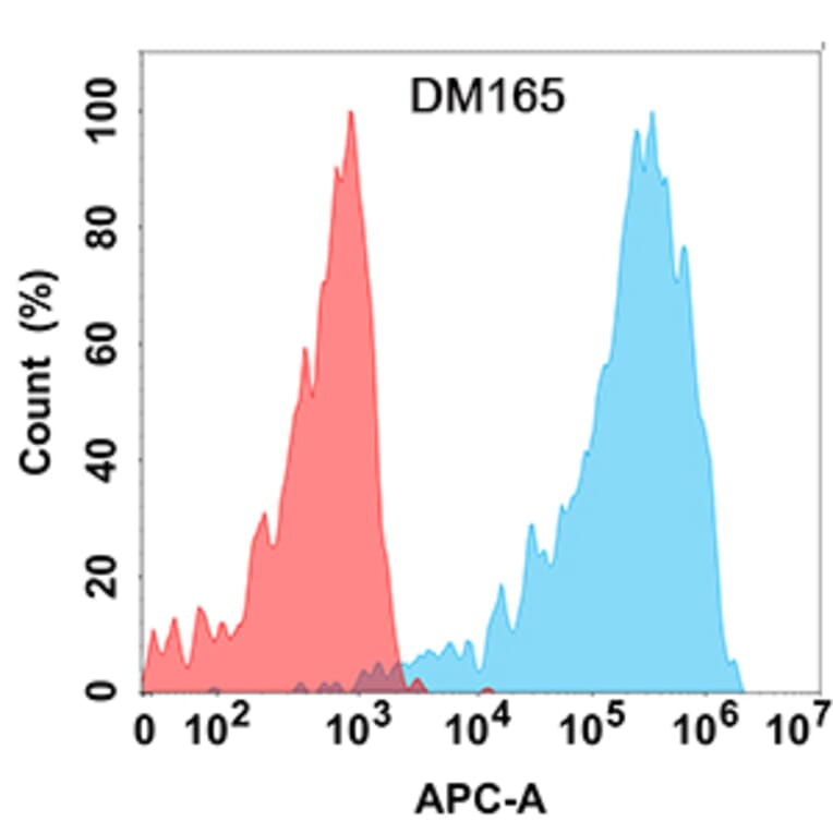 Flow Cytometry - Anti-CLEC12A Antibody [DM165] - Azide free (A318544) - Antibodies.com