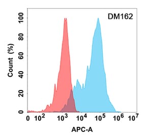 Flow Cytometry - Anti-Eph Receptor A3 Antibody [DM162] - Azide free (A318546) - Antibodies.com