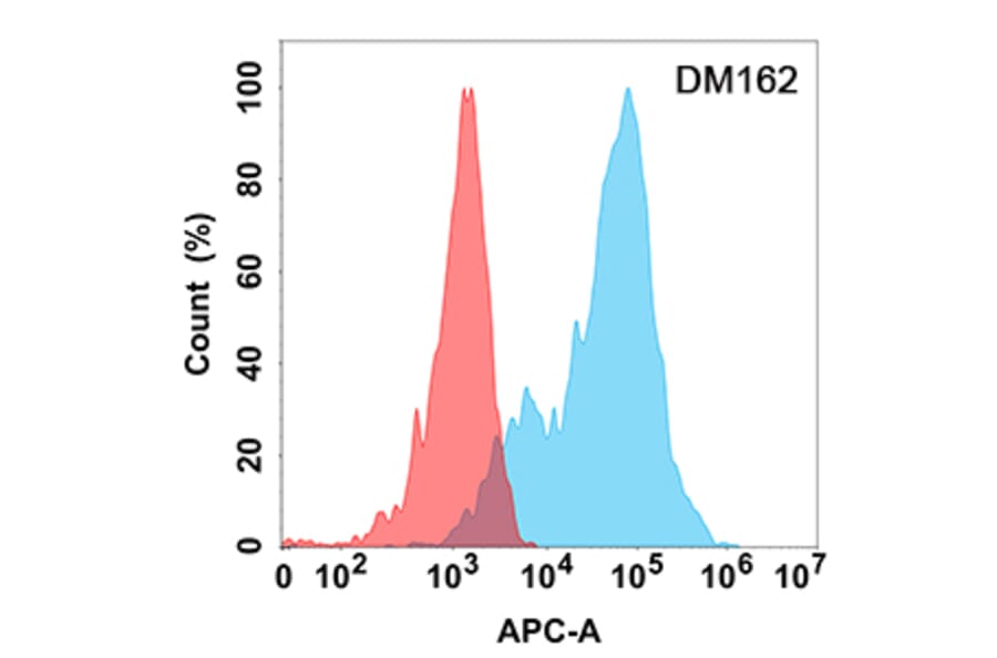 Flow Cytometry - Anti-Eph Receptor A3 Antibody [DM162] - Azide free (A318546) - Antibodies.com
