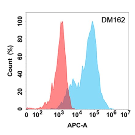 Flow Cytometry - Anti-Eph Receptor A3 Antibody [DM162] - Azide free (A318546) - Antibodies.com