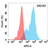 Flow Cytometry - Anti-Eph Receptor A3 Antibody [DM162] - Azide free (A318546) - Antibodies.com