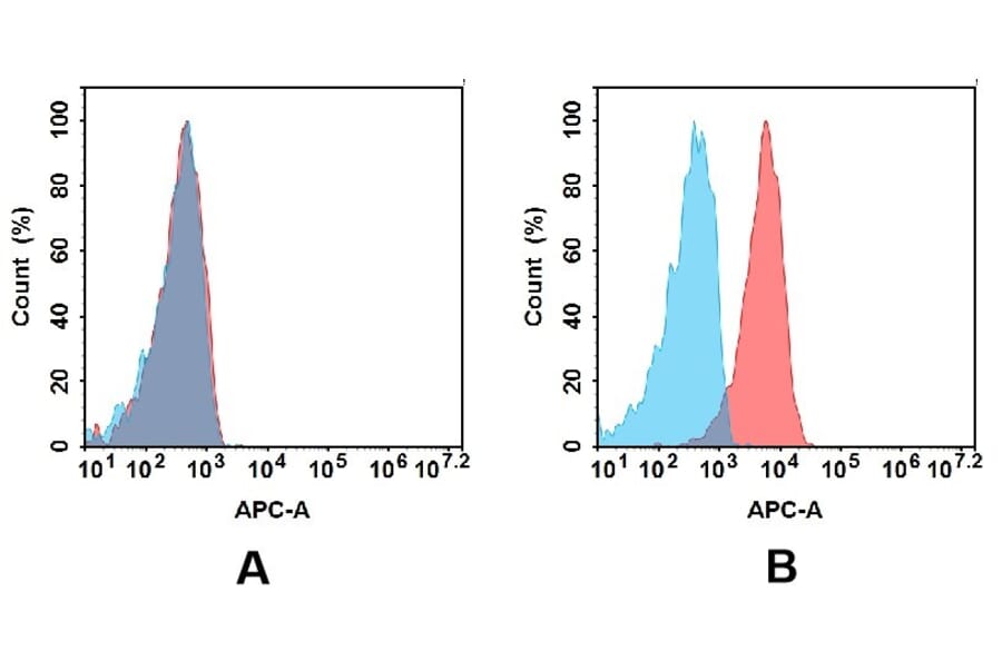 Flow Cytometry - Anti-CD5 Antibody [DM161] - BSA and Azide free (A318547) - Antibodies.com