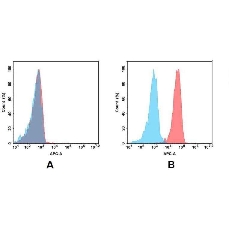 Flow Cytometry - Anti-Axl Antibody [DM158] - BSA and Azide free (A318550) - Antibodies.com