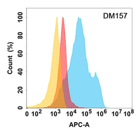 Flow Cytometry - Anti-MICA Antibody [DM157] - Azide free (A318551) - Antibodies.com