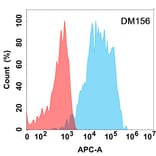 Flow Cytometry - Anti-CD200/OX2 Antibody [DM156] - Azide free (A318552) - Antibodies.com