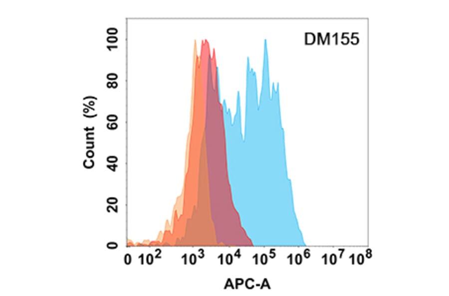 Flow Cytometry - Anti-L1CAM Antibody [DM155] - Azide free (A318553) - Antibodies.com