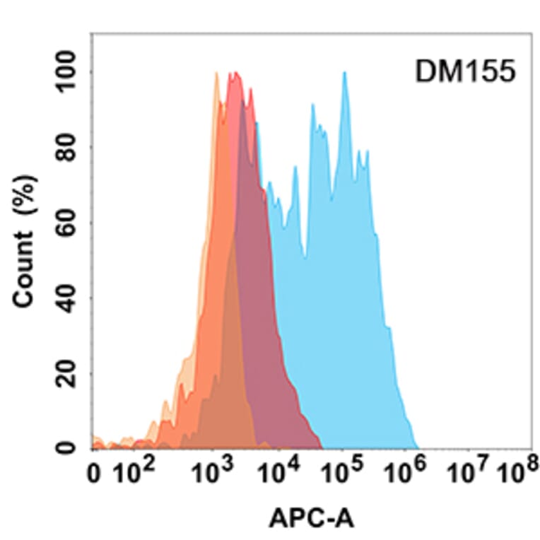 Flow Cytometry - Anti-L1CAM Antibody [DM155] - Azide free (A318553) - Antibodies.com