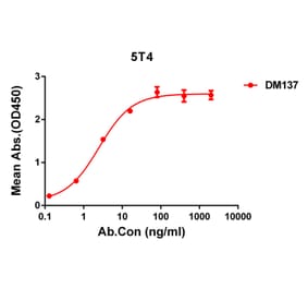 ELISA - Anti-5T4 Antibody [DM137] - Azide free (A318570) - Antibodies.com
