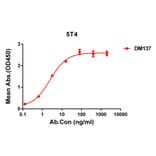 ELISA - Anti-5T4 Antibody [DM137] - Azide free (A318570) - Antibodies.com