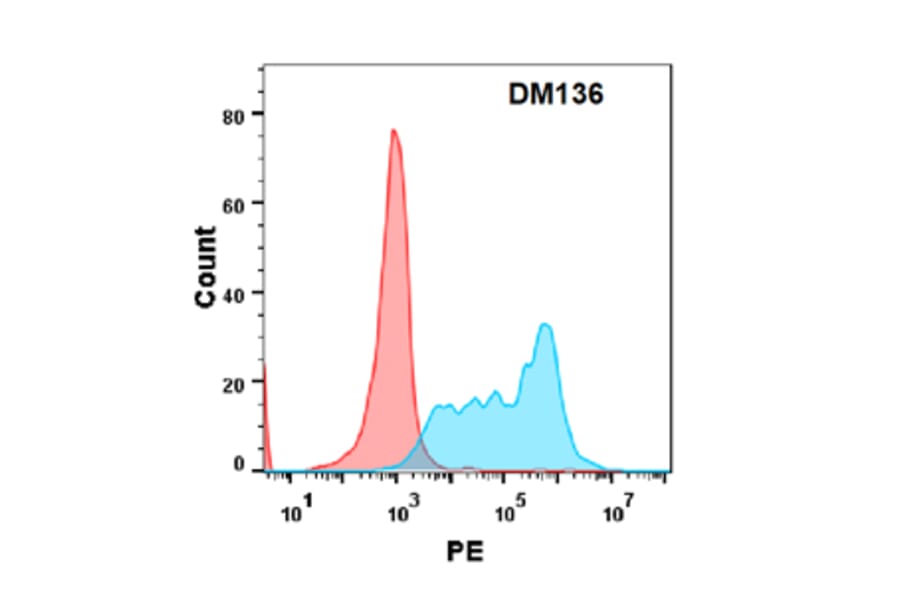 Flow Cytometry - Anti-CD34 Antibody [DM136] - Azide free (A318571) - Antibodies.com