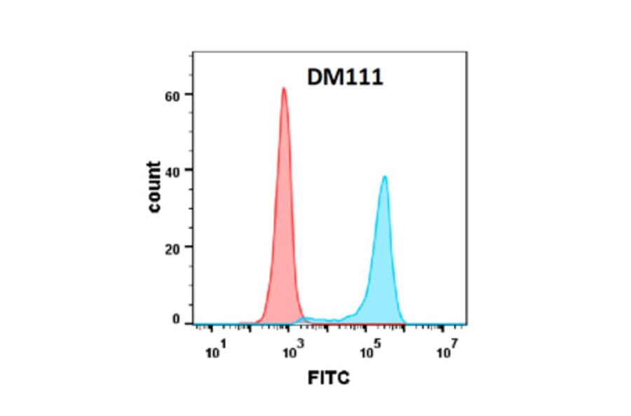 Flow Cytometry - Anti-CD80 Antibody [DM111] - Azide free (A318596) - Antibodies.com