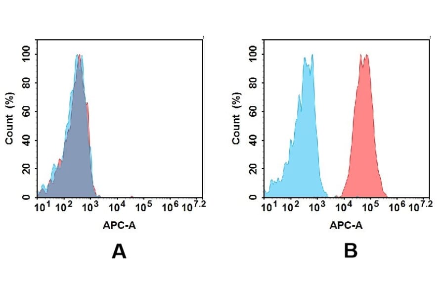 Flow Cytometry - Anti-CD40 Antibody [DM100] - BSA and Azide free (A318605) - Antibodies.com