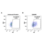 Flow Cytometry - Anti-CD226 Antibody [DM95] - Azide free (A318610) - Antibodies.com