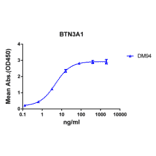 ELISA - Anti-BTN3A1 Antibody [DM94] - BSA and Azide free (A318611) - Antibodies.com