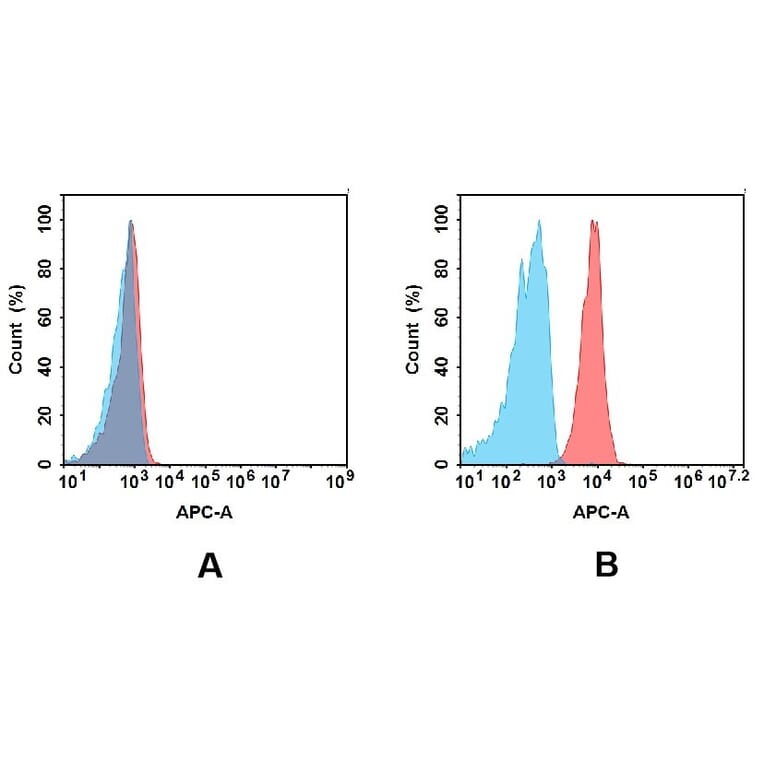 Flow Cytometry - Anti-BTN3A1 Antibody [DM94] - BSA and Azide free (A318611) - Antibodies.com
