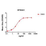 ELISA - Anti-BTN3A1 Antibody [DM93] - BSA and Azide free (A318612) - Antibodies.com