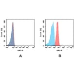 Flow Cytometry - Anti-BTN3A1 Antibody [DM93] - BSA and Azide free (A318612) - Antibodies.com