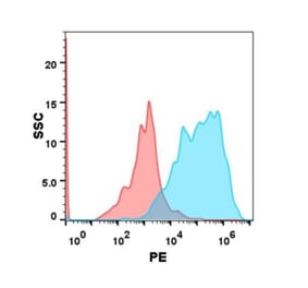 Flow Cytometry - Anti-GPCR GPRC5D Antibody [DM91] (PE) - Azide free (A318613) - Antibodies.com