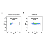 Flow Cytometry - Anti-GPCR GPRC5D Antibody [DM91] - Azide free (A318614) - Antibodies.com